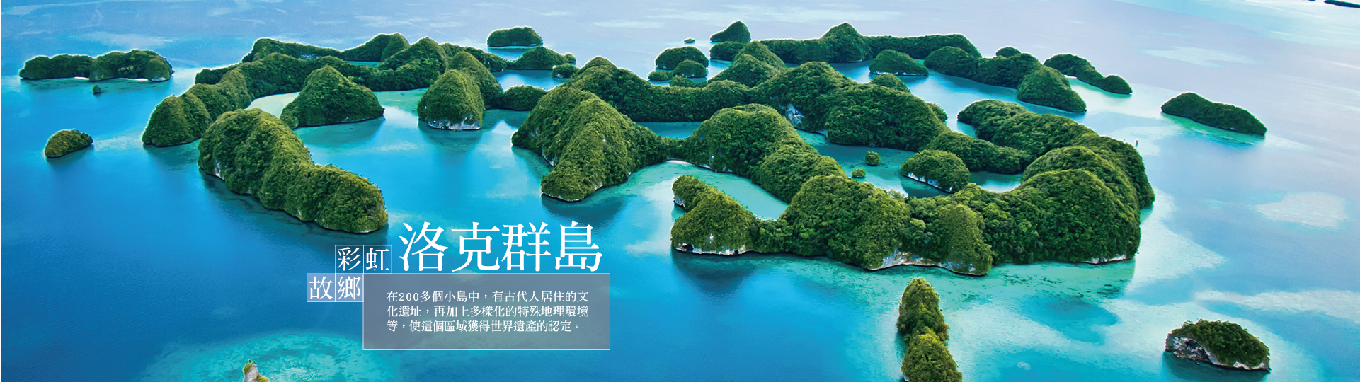 找尋蘇眉魚