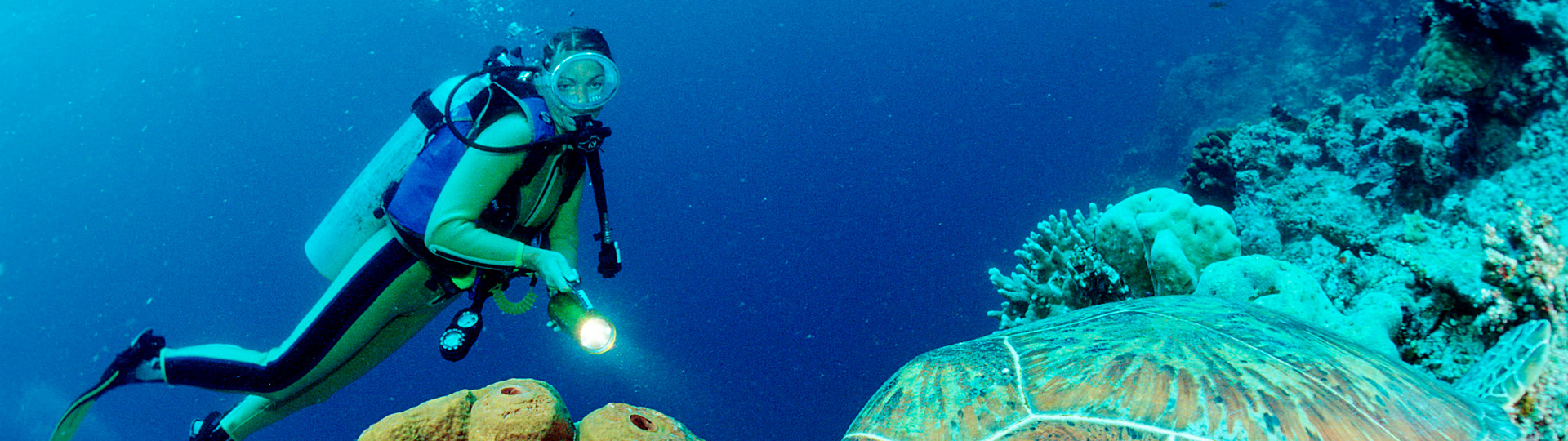 Bohol薄荷島無執照體驗潛水
