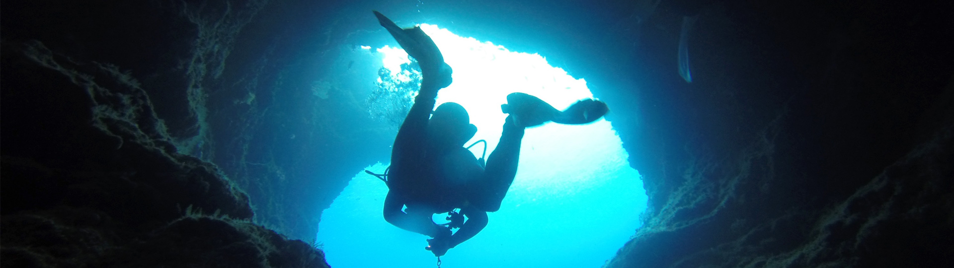 深海執照潛水一日遊（含氣瓶、午餐、飲料）