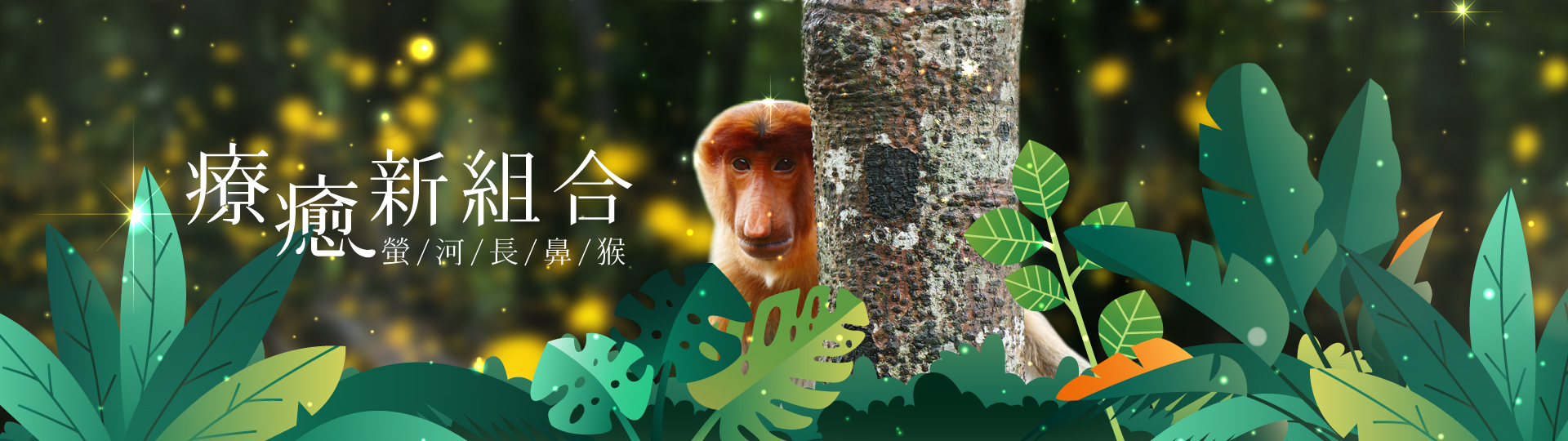瑩河長鼻猴