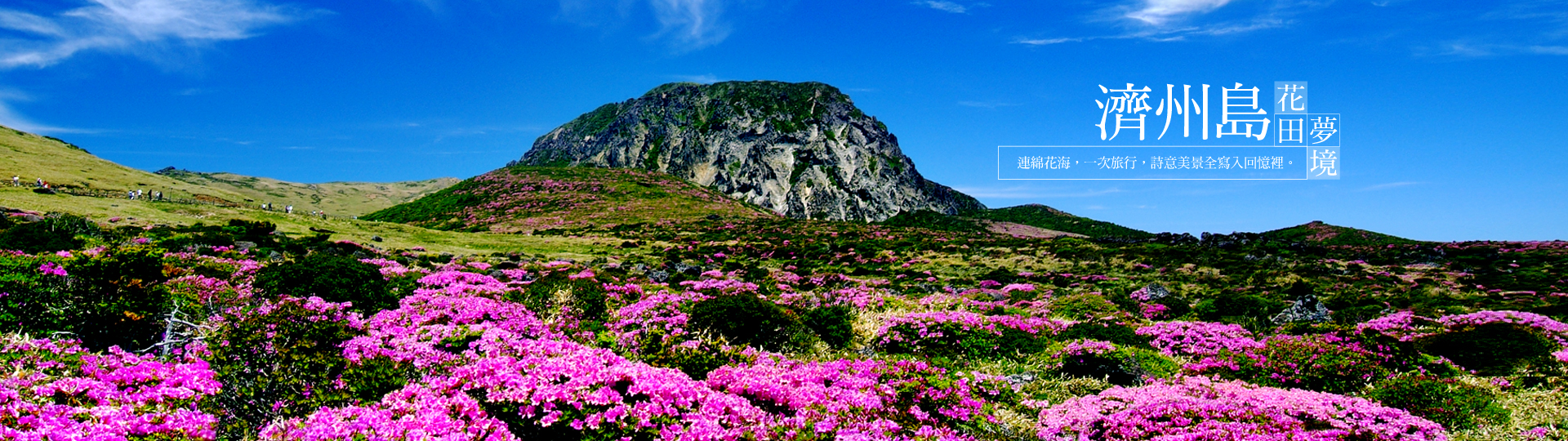 濟州島