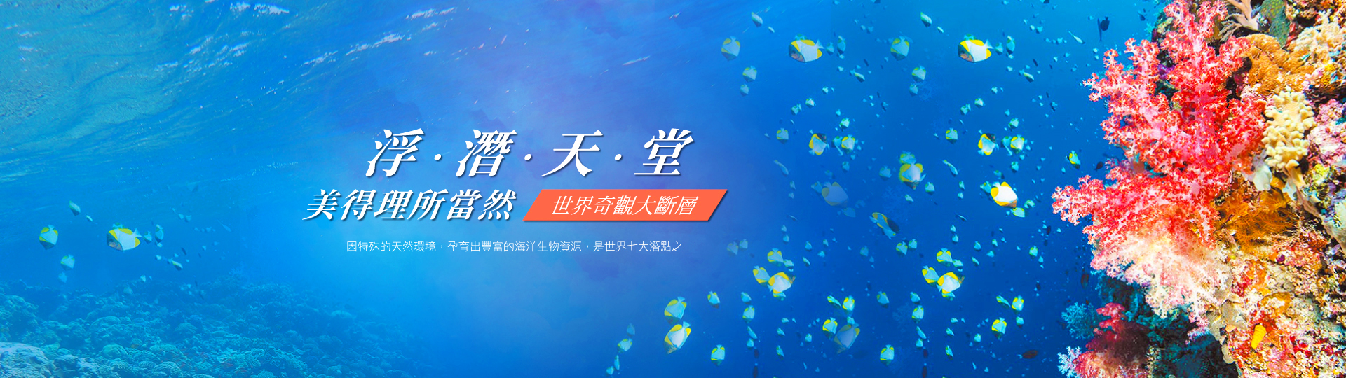 徜徉帛琉琉璃海