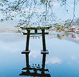 全覽九州5日