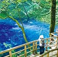 東北青森全覽5日