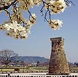 閒情釜慶精彩5日